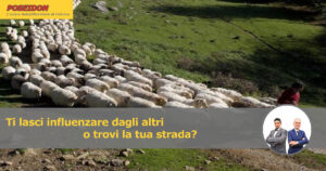 seguire il gregge